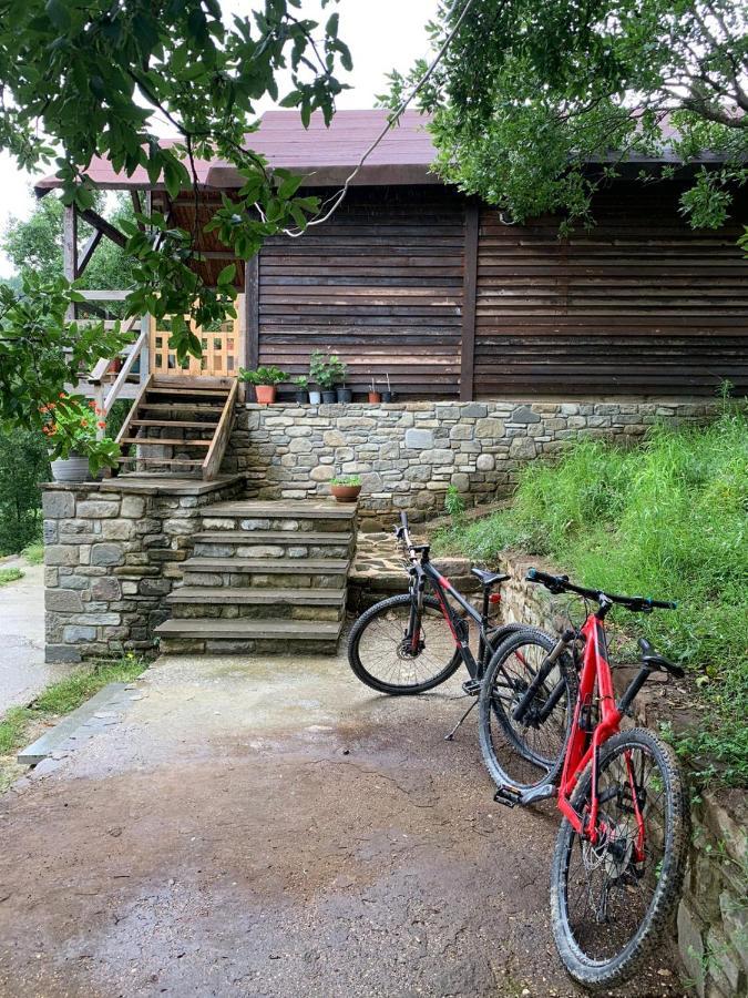 Përmet Origjina Farmヴィラ エクステリア 写真